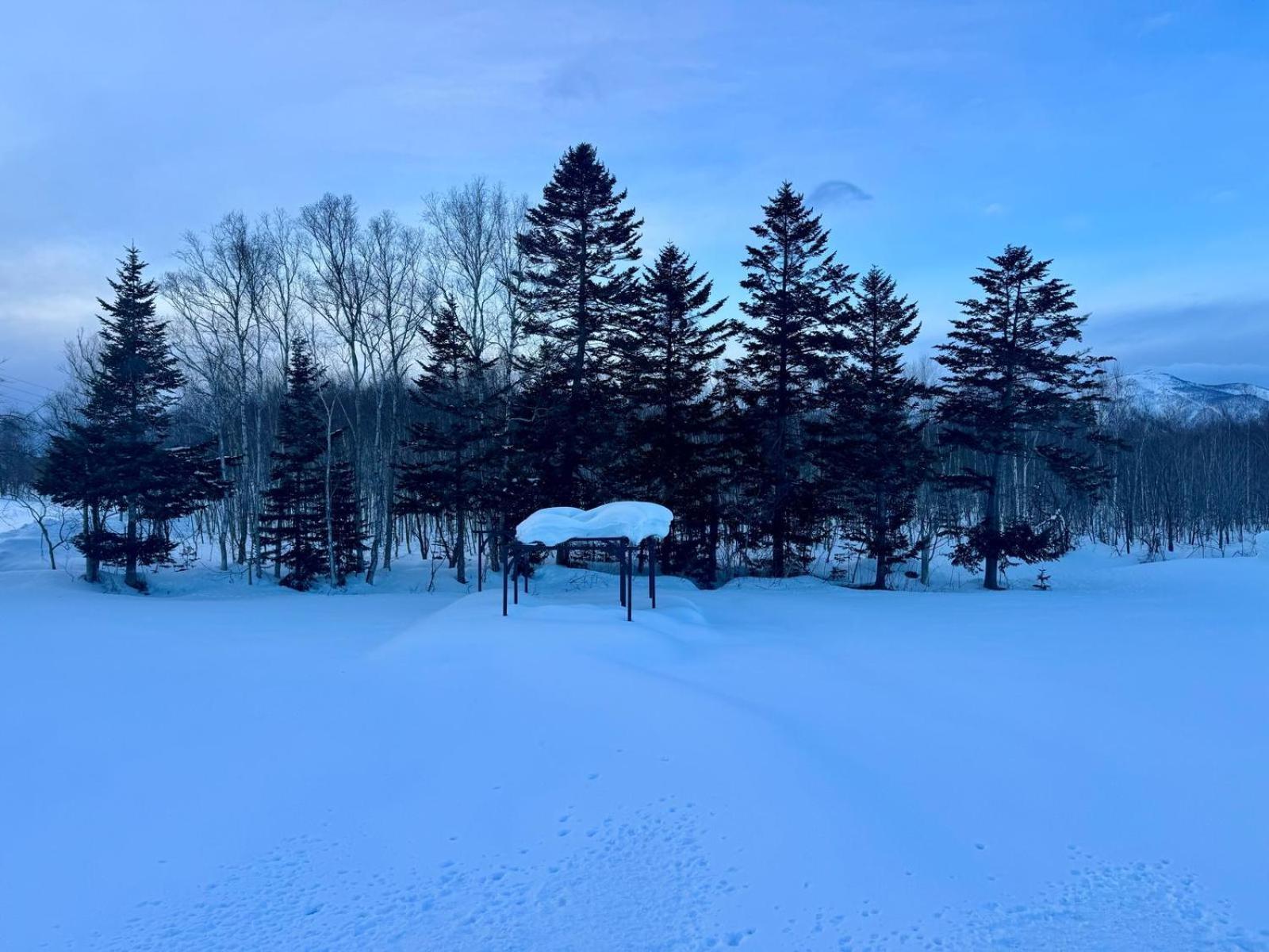 Hotel Resort Inn Niseko Eksteriør billede